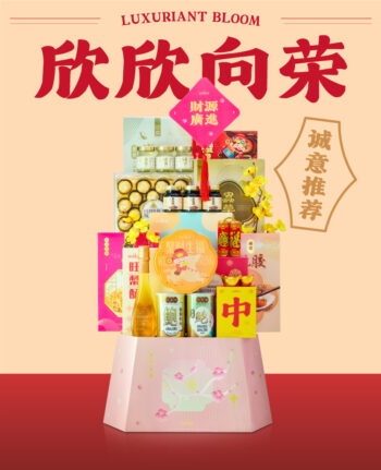 Mika Chinese New Year 2026 gift set hampers